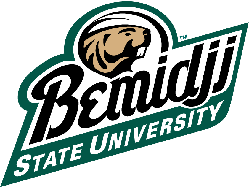 Bemidji State Beavers 2004-Pres Alternate Logo t shirts iron on transfers